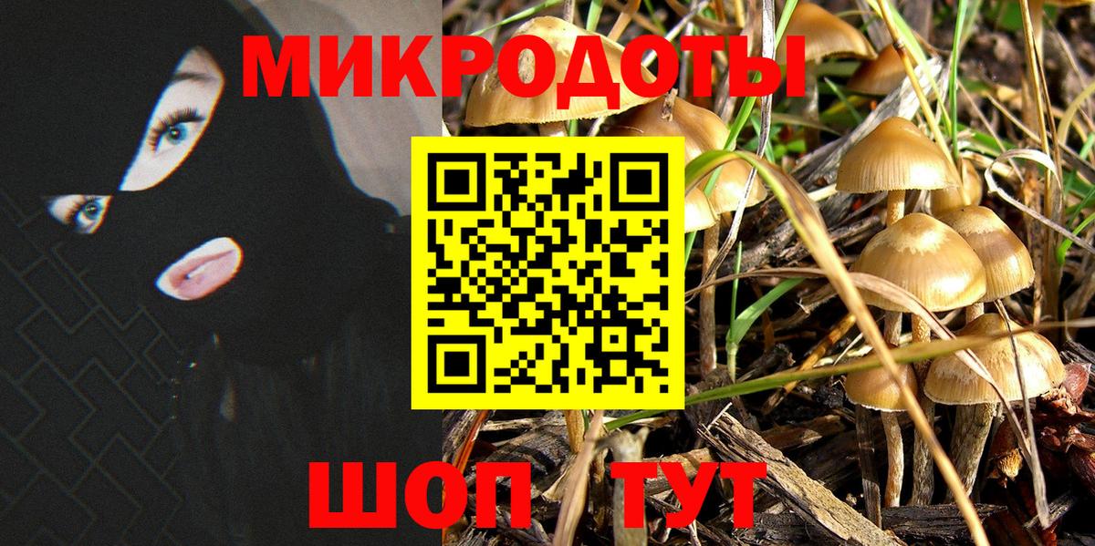 Таганрог  Галлюциногенные грибы Psilocybine cubensis  Вход с VPN 