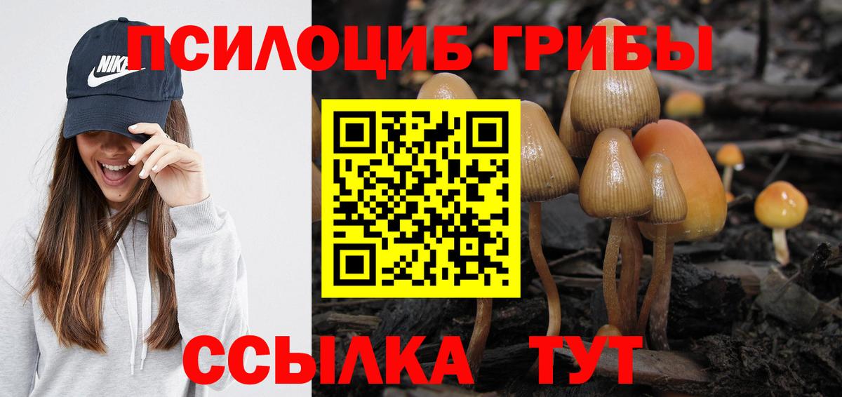 Псилоцибиновые грибы Psilocybe Таганрог